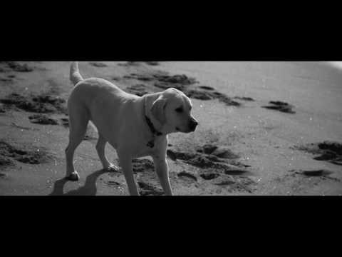 George Fields - Unstuck In Time