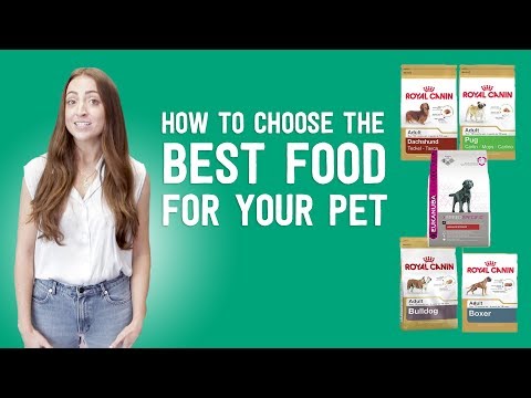 How to Choose the Best Food for Your Pet