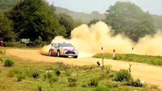 preview picture of video 'W.R.C. 2014  Rally Sardegna Buddusò'