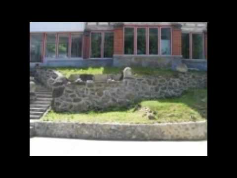 Oferte cazare pensiuni Valea Oltului, oferte cazare pensiuni Valea Oltului pret redus, piscina term.