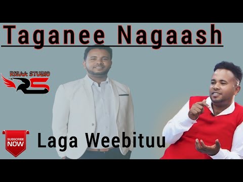 Taganee Nagaash_Laga Weebituu_Old_Oromo_Music 2024