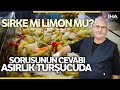 55 Yıllık Turşu Ustası 'Sirke Mi Limon Mu'  Tartışmasına Son Verdi