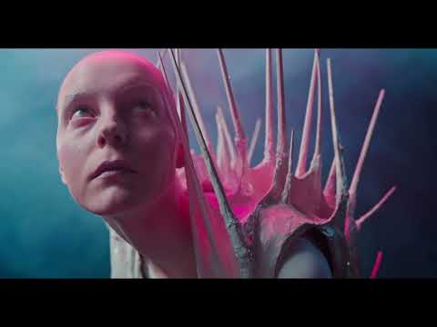 Boom Merchant - G83 (Tribal Pulse)