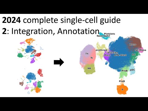 2024 updated single-cell guide - Part 2: RNA Integration and annotation