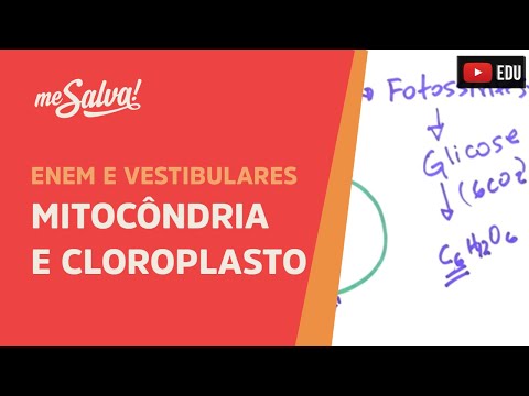 Me Salva! CIT20 - Citologia - Organelas citoplasmáticas 3 - Mitocôndria e Cloroplasto