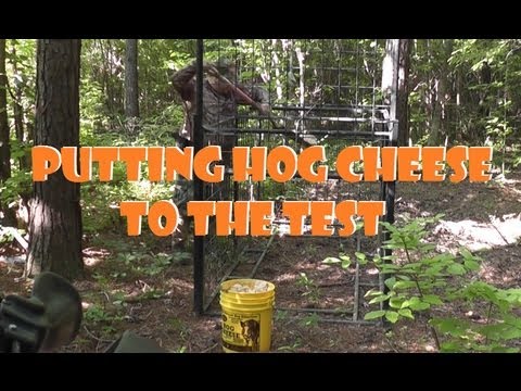 download lagu mp3 mp4 Hog Butter, download lagu Hog Butter gratis, unduh video klip Hog Butter