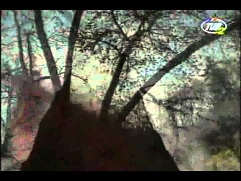 Felicia Donceanu - Prima elegie din ciclul "Patru elegii pe versuri de Mihail Crama" (TVR 1996)