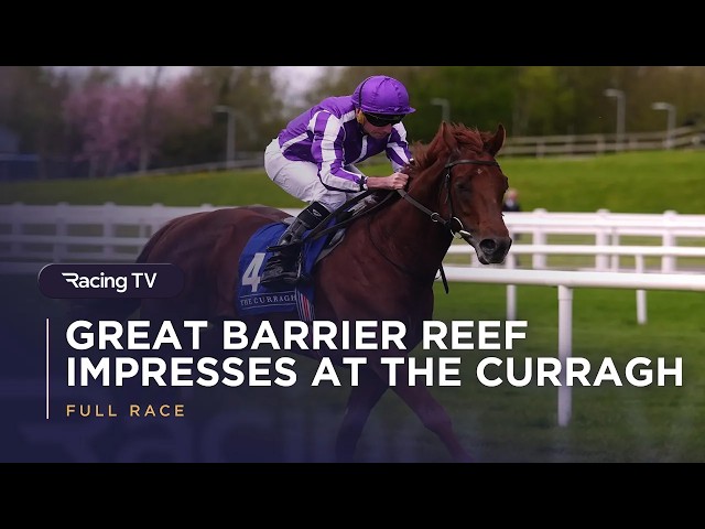 Thumbnail for Post ID: FqGhhawglbQ