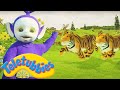 3 HOURS Compilation Animal Parade Teletubbies Classic WildBrain Preschool