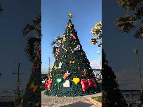 Parque principal - Sabana De Torres Santander ✍️ #sabanadetorres #santander