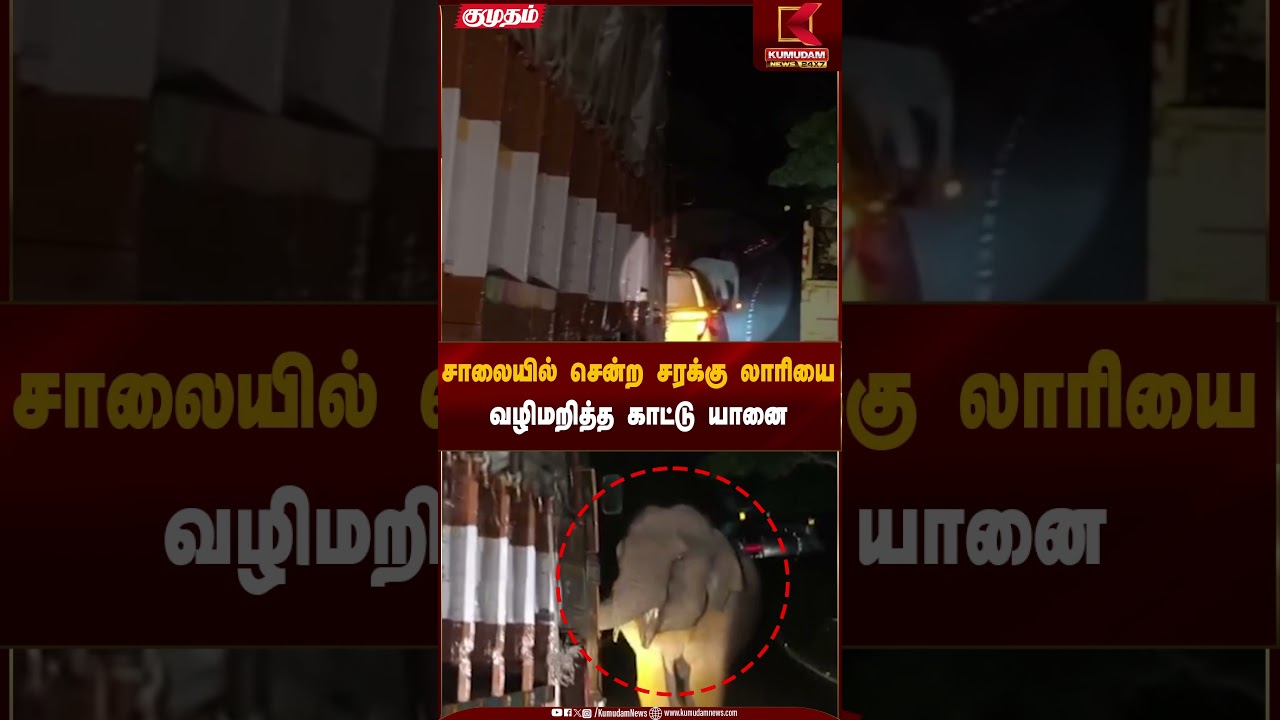 Wild Elephant | சாலையில் சென்ற சரக்கு லாரியை வழிமறித்த காட்டு யானை | Kumudam News