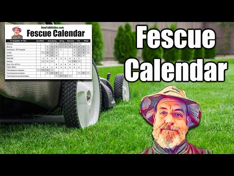 Fescue Lawn Calendar