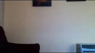 روعة وابداع الحسون الجزائري