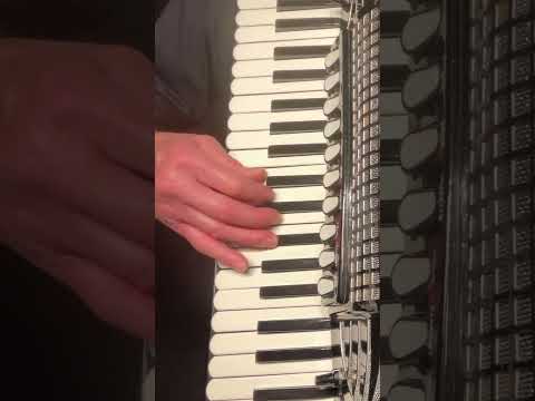 Marijana à la Klapa Opatija, Dubrovački Trubaduri, Vlaho Paljetak Svetozar Šišić #croatia #accordion