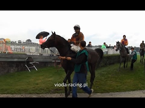 Gon. IX - 20.08.2017 - Wilton (Lawrence El Gazal - Wołogda)