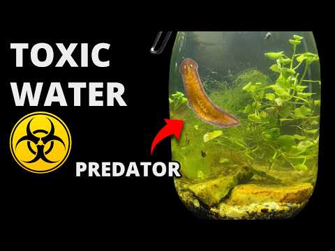 I Put Sewer Water in a Jar, Weeks Later THIS Appeared!