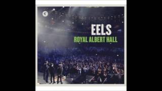 Eels The Morning Live  Royal Albert Hall 2015