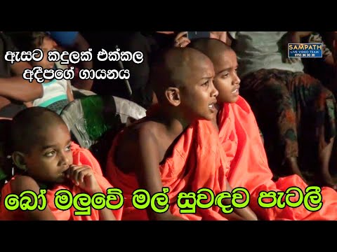Bo Maluwe Mal | Adeepa with Sahara Flash | Best Sinhala Songs | SAMPATH LIVE VIDEOS