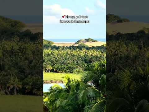 📌 MIRANTE DO ROBALO - #Reserva #SantaIsabel #Pirambu #Pacatuba #Sergipe #ecoturismo