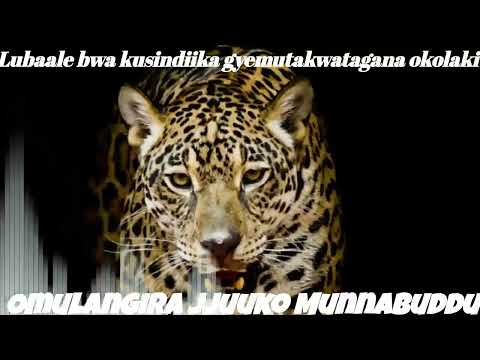 Lubaale bwakusindika gyemutakwatagana okolaki? - Omulangira Jjuuko Munnabuddu