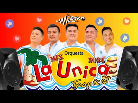 Mix La Unica Tropical - 2024 - ( Partidos en Dos , Si Esta Casa Hablara , Asesina y mas ) - Dj Esko