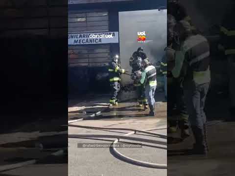 Cachorro que estava amarrado em oficina é resgatado por bombeiros durante incêndio em Franca (SP)