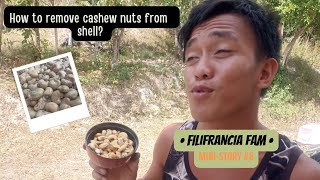 HOW TO REMOVE CASHEW NUTS FROM SHELL AT HOME : cashew nuts processing, grill and peel the nuts