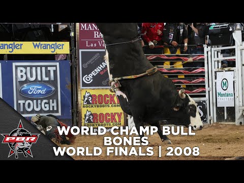 2008 World Champion Bucking Bull: Bones