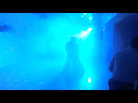 Pavel & Mariana Gorea (25.10.2014)