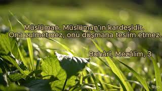 Müslüman Müslümanın Kardeşidir | Hadis-i Şerif