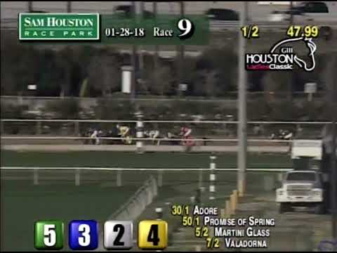 2018 Houston Ladies Classic - Tiger Moth