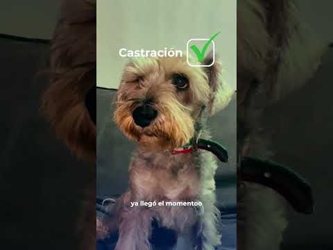 Video Producto