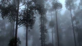 Lurgee - Radiohead (slowed and reverb)