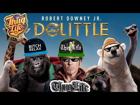 DOLITTLE MOVIE THUG LIFE MOMENTS HINDI | R.D.J. FUNNY SCENES HINDI | R.D.J. LATEST MOVIE | YTTRENDS