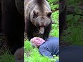 Man Plays Dead For A Bear You Won T Believe What Happens Next
