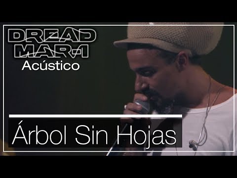 Arbol Sin Hojas - Dread Mar I