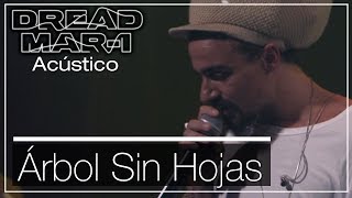 Dread Mar I - Arbol sin hojas (Acústico)