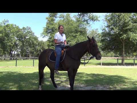 Beginner Riders Most Common Mistakes: What Every Rider Needs to Know