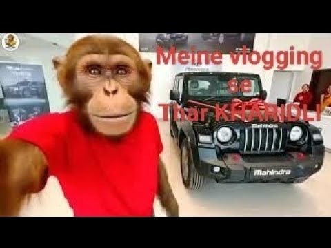 Finally! Maine vlogging se Thar kharid lee 🥰 || Ai monkey Thar vlog || Ai monkey video #monkeyvideo