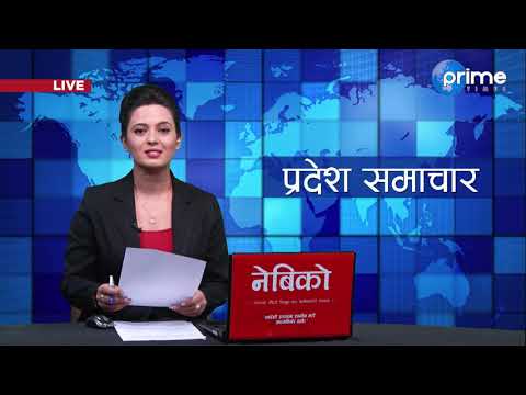 प्रदेश  समाचार  | भाद्र  २४