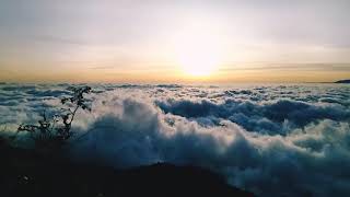 Download lagu Video mentahan pemandangan alam untuk quotes | video polosan literasi | status WA kekinian terbaru mp3