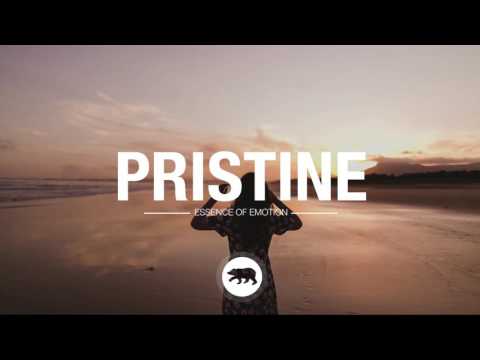 Yo Trane - Let Me Know [prod. by Kalim]