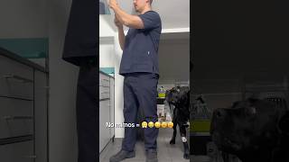 Every Brave Dog Has One Weakness: The Vet 🩺#VetVisit #FunnyDog #DogLife #petcomedy