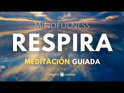 🎧RESPIRACIÓN CONSCIENTE: MEDITACIÓN GUIADA para lograr mayor CALMA Y TRANQUILIDAD💙Mindfulness