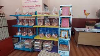 12 05 66 ชาวยะลาโอดไข่แพงแม่ค้าแจงเหตุไข่แพงอาหารสัตว์ขึ้นราคา อากาศร้อนแม่ไก่ไข่น้อยลง 1