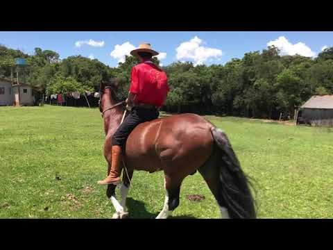 Lote 40 - Ô de Casa da Escondida