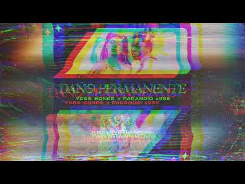 Daño Permanente - Yoss Bones X Paranoid 1966 (Audio)