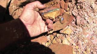 preview picture of video 'Finding Opals - From Queensland With Love to Sydney'