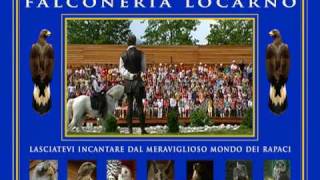 preview picture of video 'Falconeria Locarno www.falconeria.ch'