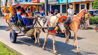 Download lagu NAIK DELMAN ISTIMEWA | HORSE RIDING - NAIK KUDA | KUDA mp3